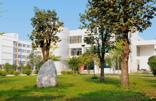 周口师范学院2019年成人函授教育招生简章及报名条件