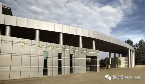 翡翠教育获赠商丘师范学院传媒学院 雄风 虎图,校企合作,龙跃飞腾