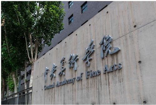 专科晋升海外名校硕士 中央美术学院继续教育学院提供最佳方案