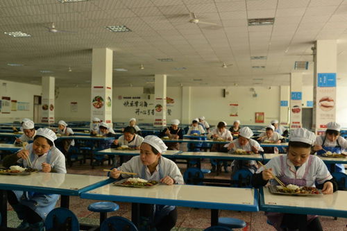 汇东实验学校食堂食品安全培训暨送货查验演练