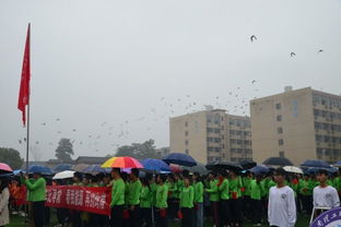 湖南理工职业技术学院成人教育学院亮相第十届校运会 以运动诠释终身学习理念